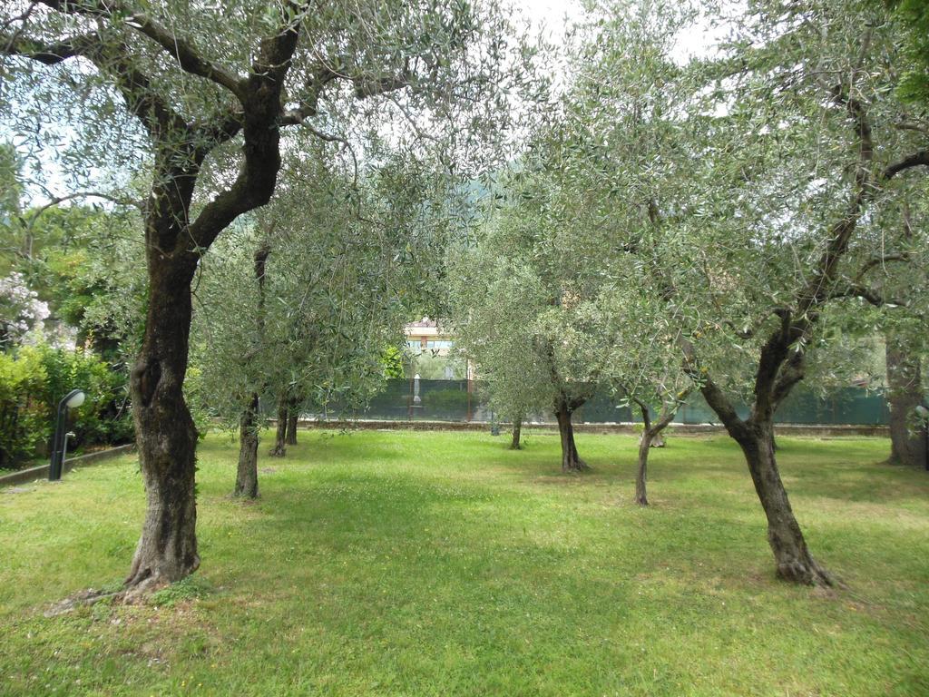 Residenza Hotel Garden Toscolano Maderno Exterior foto